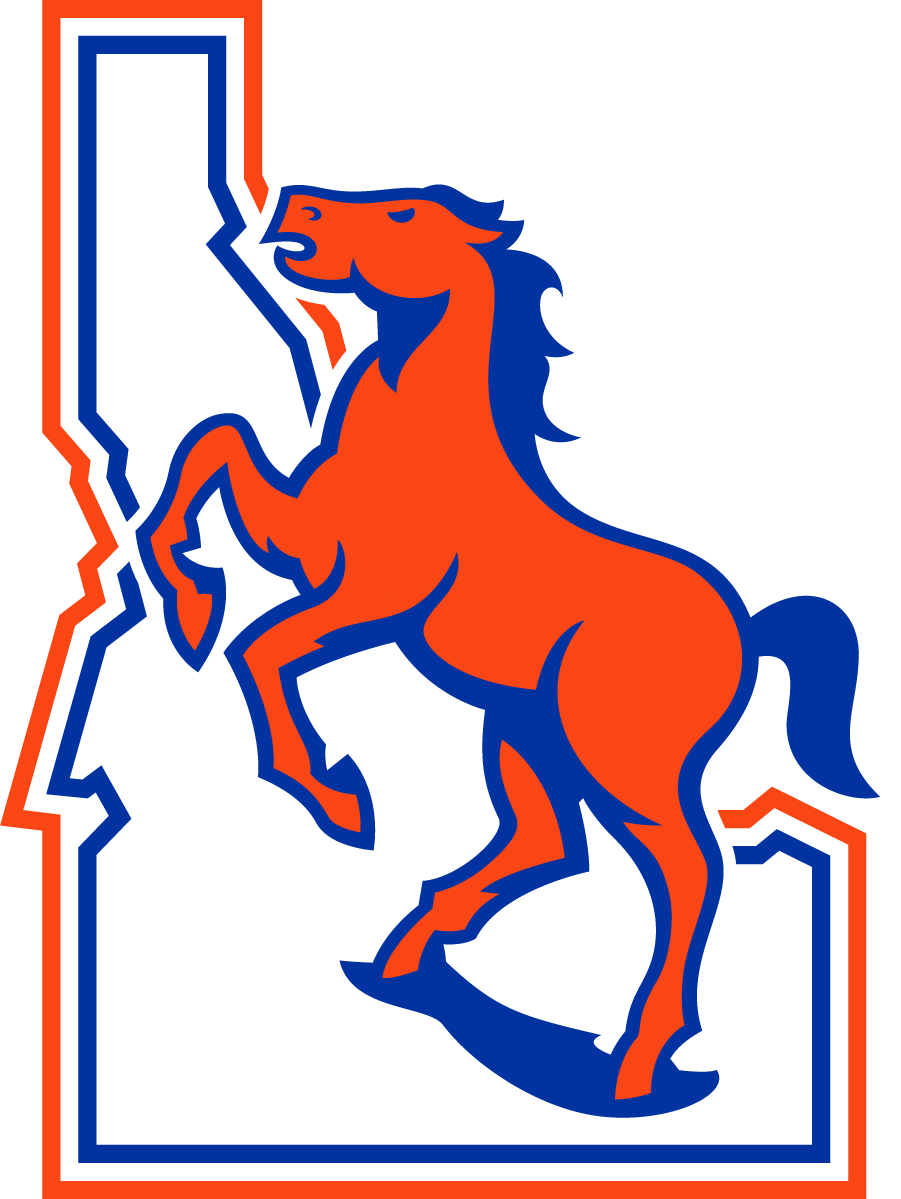 Boise State Broncos 2021-Pres Throwback Logo t shirts iron on transfers